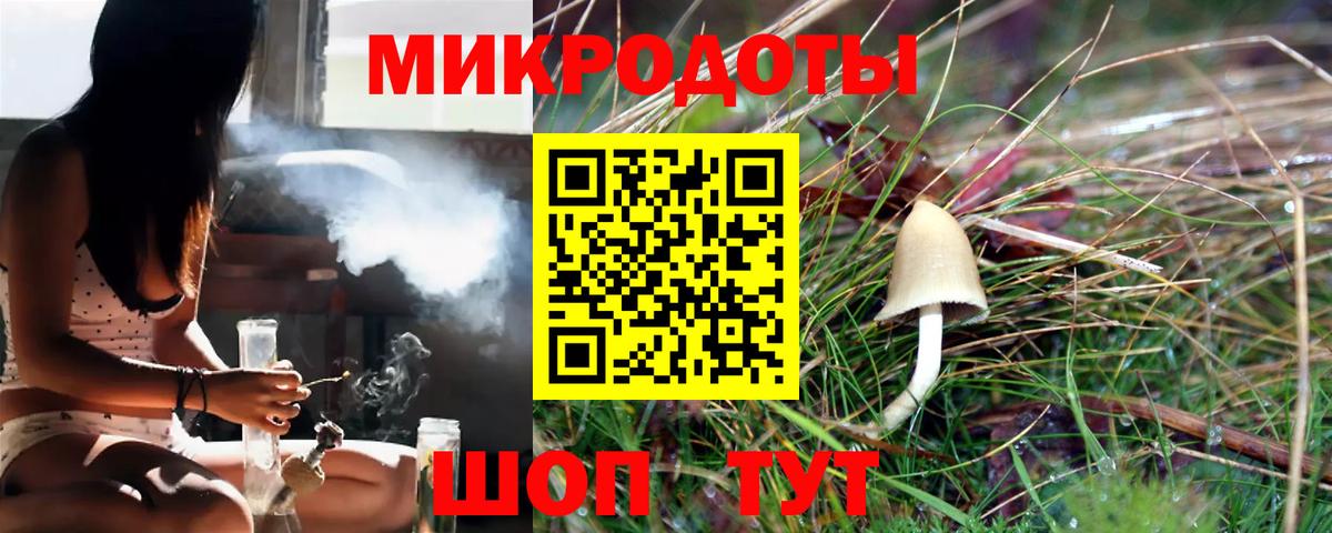 Галлюциногенные грибы Cubensis  Галлюциногенные грибы Psilocybine cubensis  что такое наркотик  Кохма  Вход с VPN 
