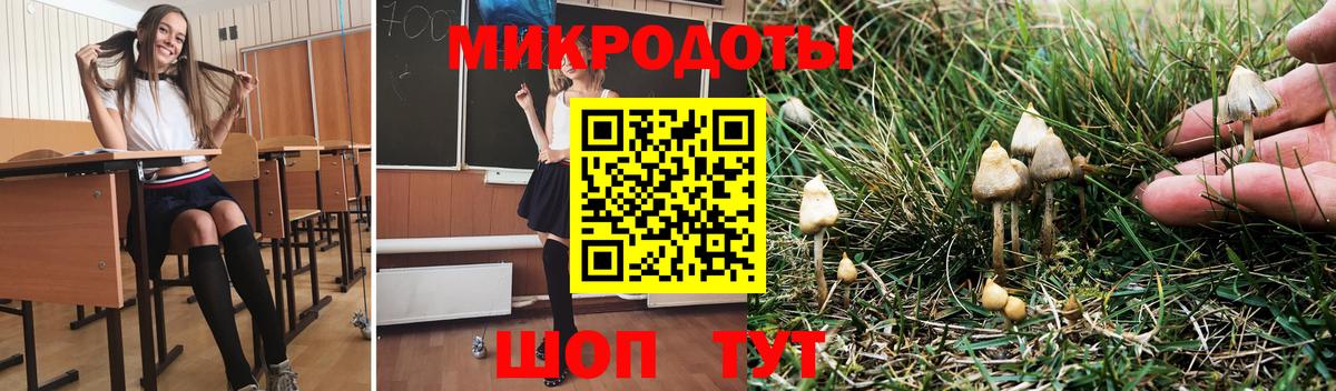 Псилоцибиновые грибы прущие грибы Кохма